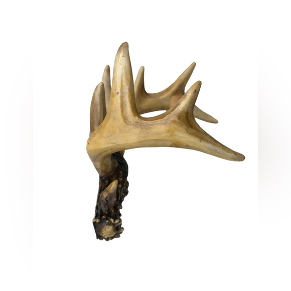 Rustic Deer Antler Toilet Paper Holder - Wall Mounted - Picture 2 of 5